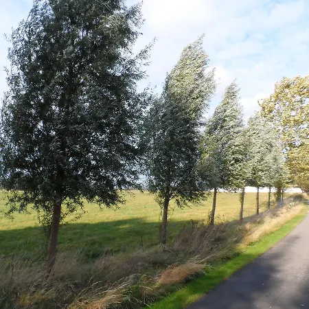 Haus Schmidt 아파트