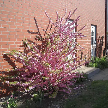 Haus Schmidt Apartamento Alt Bukow